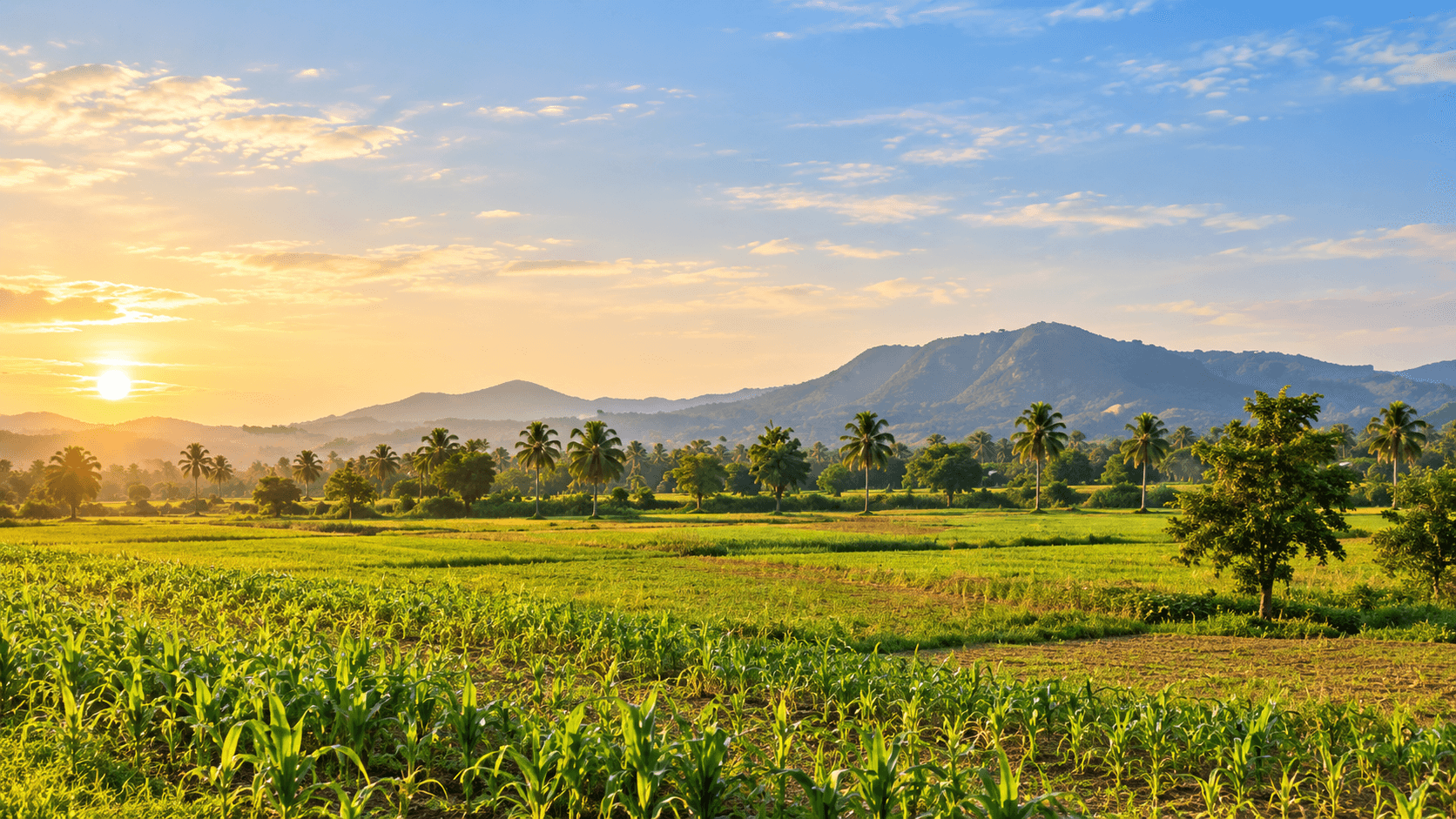 Agricultural land in Andhra Pradesh